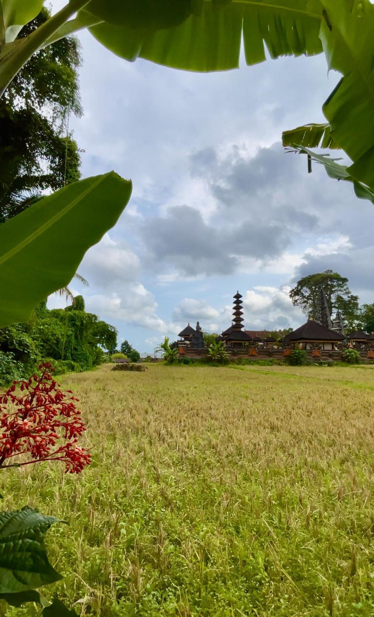विला Niki - Unique Rice Temple View Bykavian